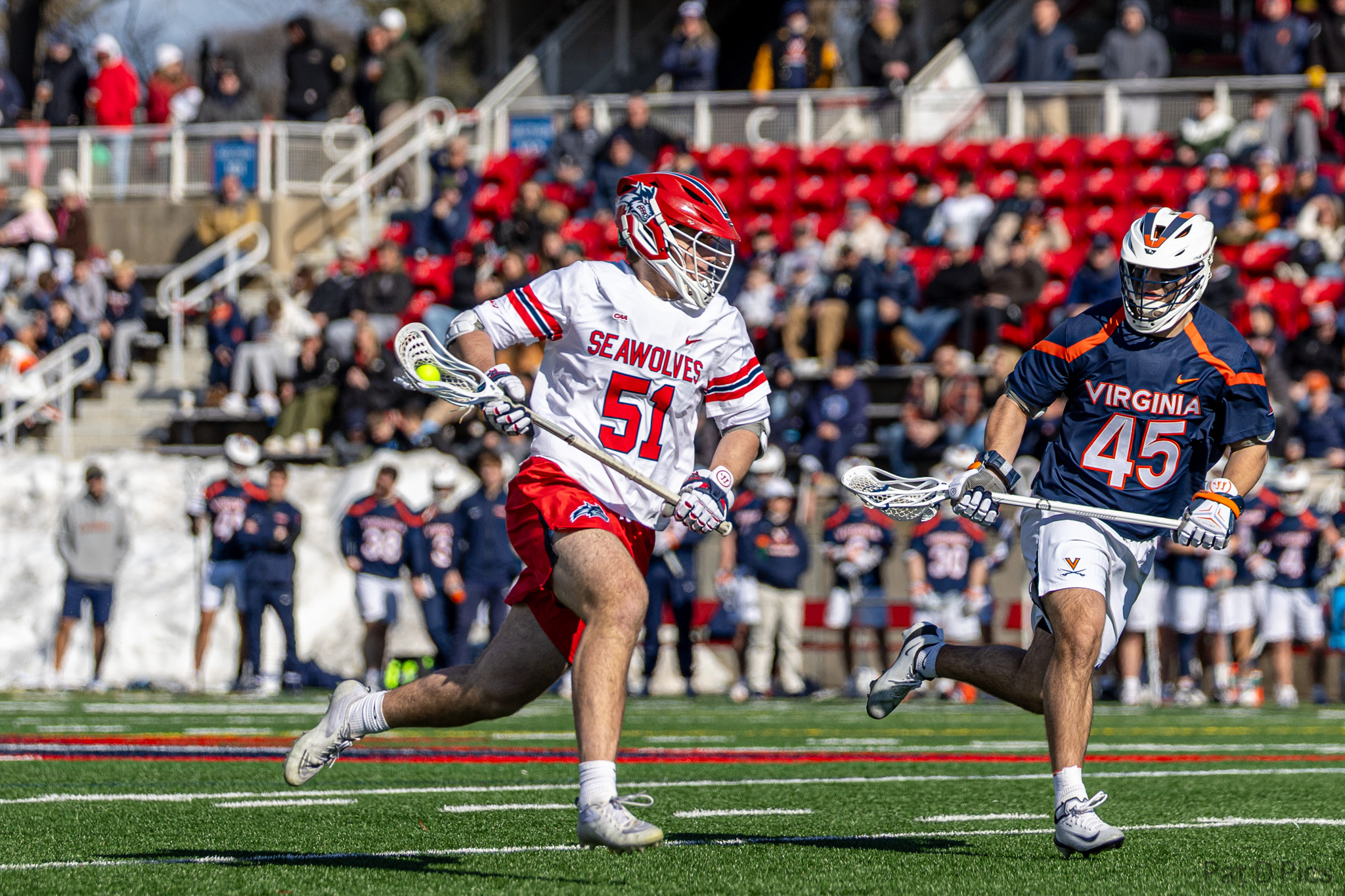 Stony Brook Seawolves